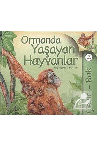 Tübitak Yayınları انظر حولك / الحيوانات التي تعيش في الغابة