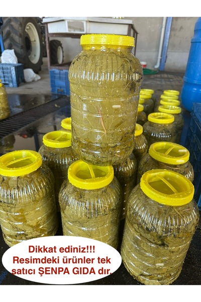 şensan Salamura Asma Yaprak 5 Kg Doğal Manisa Turgutlu (SÜZME YAPRAK 3 KG) 2025