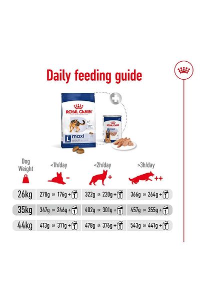 Royal Canin Maxi Adult for large breeds weighing 26-44 kg up to 15 months of age 4 kg