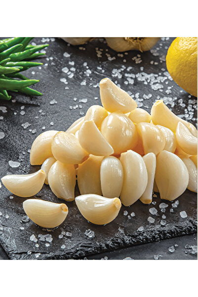 TURŞU DURAĞI Sarımsak Turşusu | 1 KG