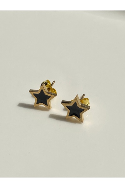 kurukafagift Steel Earrings Two Color Star Figured Studded Model