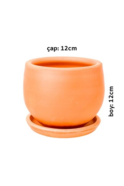 Fidanburada Curvy Terra Cotta Saksı - Naturel 12cm