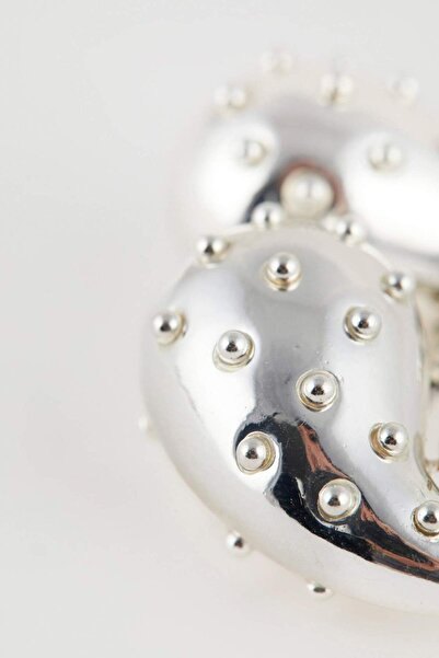 DeFacto Stone DeTailed Drop Women's Earrings D0261AXNS