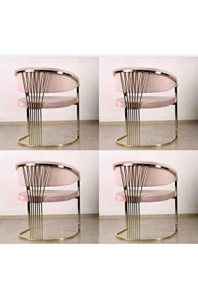 numan metal 4 Lü Ankara Sandalye Mutfak Salon Otel Tasarım Sandalyesi