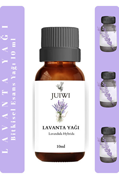 JUIWI Yün Kurutma Topu Koku Giderici Buhurdanlık Yağı Difüzör Uçucu Yağı Mum ...