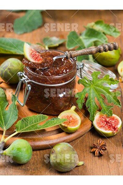 Şener %45 MEYVE İNCİR REÇELİ 380 GR