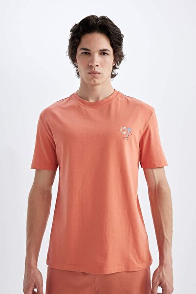 DeFacto Μπλουζάκι με κοντό μανίκι με στάμπα με κανονική εφαρμογή C5650ax