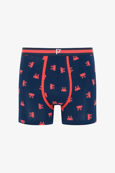 Penti Men's Pointed Red 2-Piece Multicolored Boxer Briefs