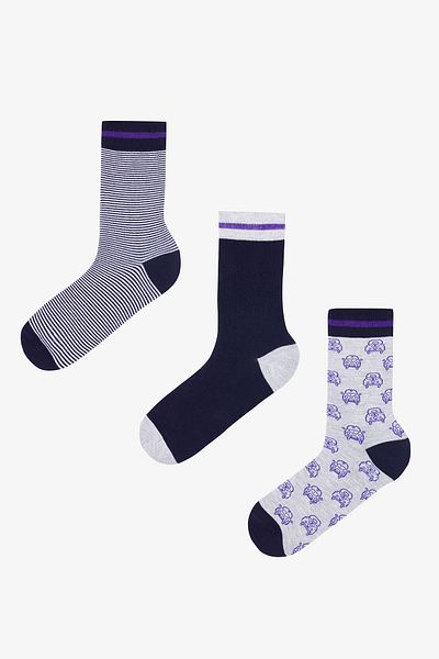 Penti Male Car 3-Plus Multicolor Socket