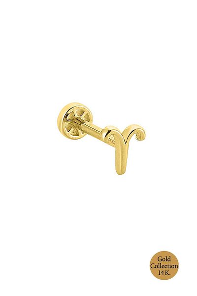 So CHIC... 14K Yellow Gold Timber Sign Tragus Piercing