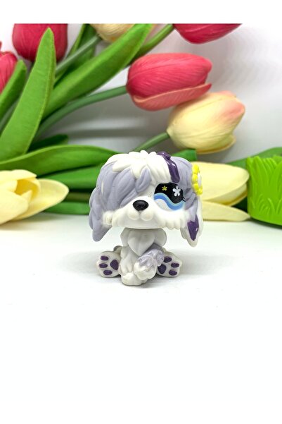 Littlest Pet Shop lps minişler