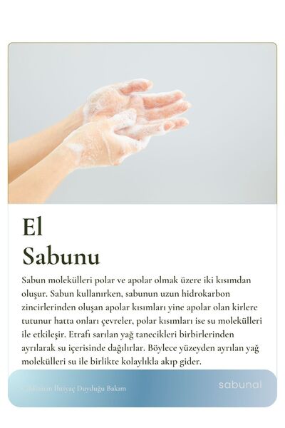 sabunal Hand Soap - Intense Moisturizing Bath Soap with Natural Oil Mix 100 Gr