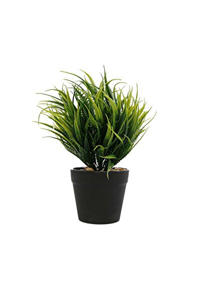 Ella Home Italia Arrangement In Pot, Green, Plastic, 20Cm - Green, Plastic, 20cm