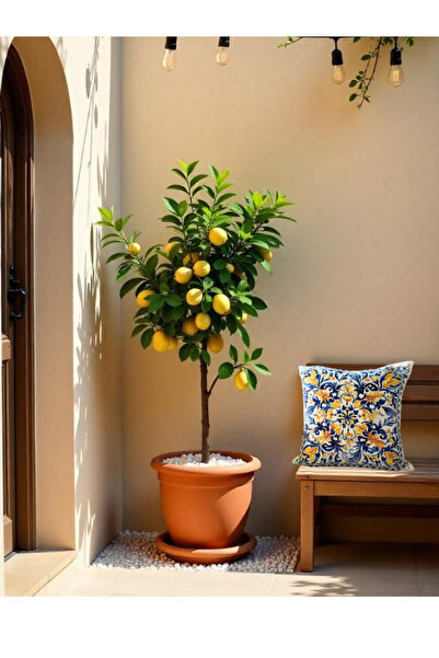 white rabbit home Husă de pernă cu model floral