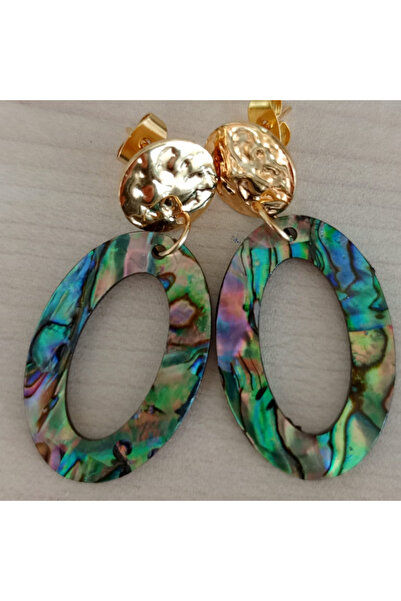 shop Abalone Ocean Sea Shell Gold Design Steel Earrings