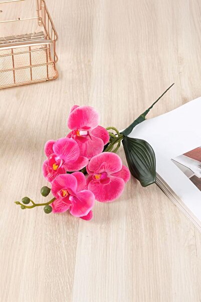 Buka Shops 4 Başlı Yapay Orkide (Phalaenopsis) Demeti - 14.5 cm Boy - Gül Kırmızısı