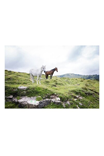 OEM Pictură pe pânză - „Cai sălbatici pe pajiștea de munte”