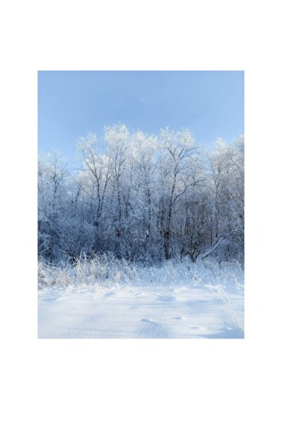 OEM Pictură pe pânză, „Vis alb de iarnă senină”, Peisaj înzăpezit 100x100cm