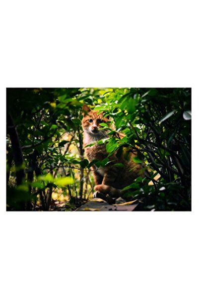 OEM Pictură pe pânză, „Pisică ascunsă printre frunze verzi”, Natură, 70 x 50cm