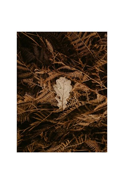 OEM Tablou Canvas, "Frunza de stejar in covorul toamnei", Frunze, Toamna, Contrast, Natura, Textura, Cad