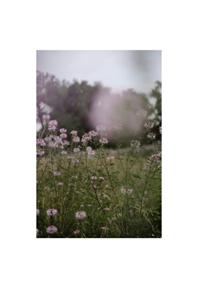 OEM Pictură pe pânză, „Dansul florilor în briză”, 100 x 100 cm