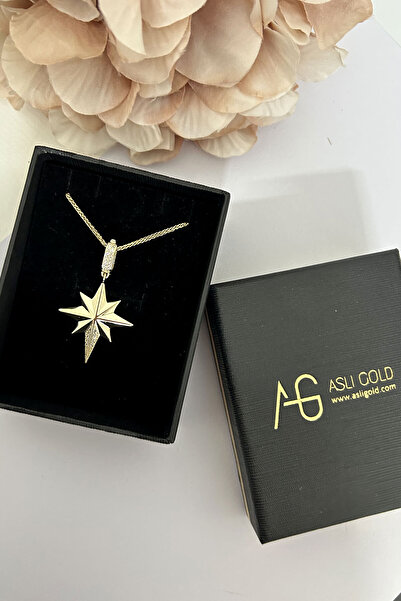 Aslı Gold Kuzey Yıldızı Altın Klipsli Halka Kolye