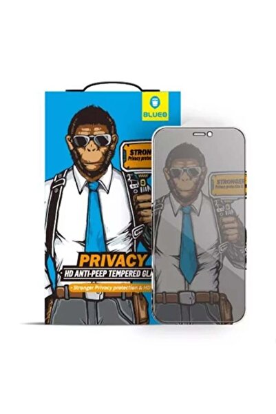 BLUEO Φιλμ για iPhone 11 Pro / X, / XS, Σκληρυμένο γυαλί, Ultra HD, Αντικραδασμικό γυαλί, Προστασία απορρήτου