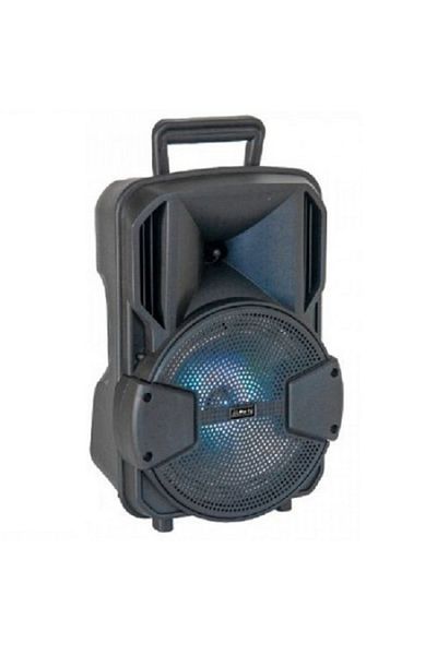Party Boxă portabilă activă cu iluminare LED și stativ de microfon