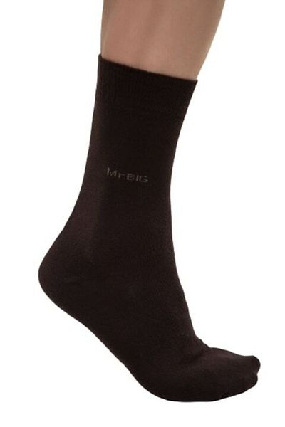 OEM Men's Socks Mr.Big Classic, Brown, Size 43-44
