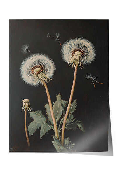 Zestia Poster fără ramă, Flori de păpădie – Stil minimalist, Poster decorativ...