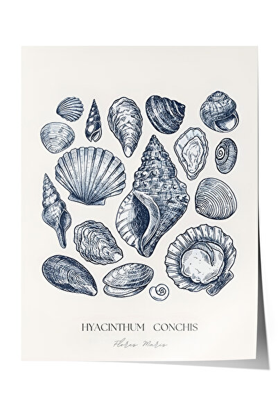 Zestia Плакат без рамка, детайлен рисунка на растения и семена, плакат за дек...