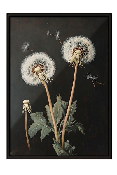 Zestia Siyah Çerçeveli Tablo, Karahindiba Çiçekleri – Minimalist Stil, Banyo ...