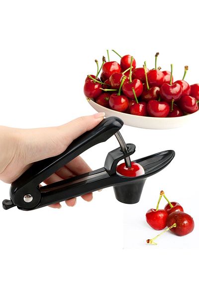 OEM Cherry, sour cherry, olive pitter, Plastic, ER40657