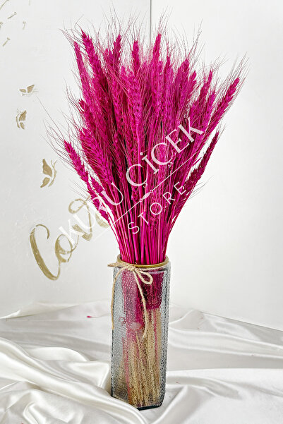 Smyrna Çiçek Doğal Kurutulmuş Buğday Başağı Demeti (30 Adet FUŞYA)