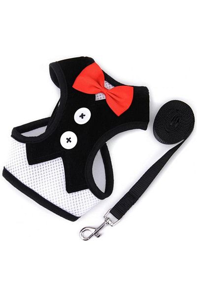 EDA LUXURY BEAUTY 2-Piece Special Dog Cat Luxury Bow Tie Chest Collar & Travel Outfit Small Breed Fancy Pet Leash Set