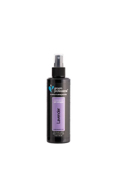 Groom Professional Lavender Cologne [Volume - 100ml]