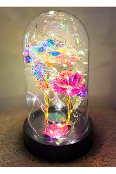 Linalux Gifts Hediye Sevgiliye - 2 Sonsuzluk Güllü Işıklı Fanus - Sevgiliye C...