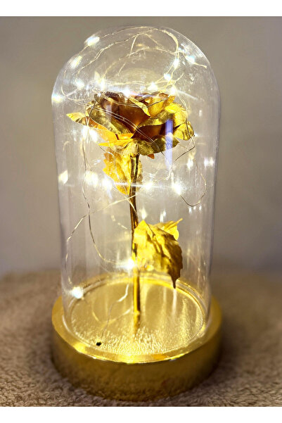Linalux Gifts Cicekli Fanus - Gold Fanusta Gold Sonsuzluk Gülü - Işıklı Çiçek...