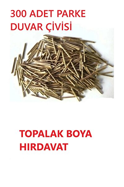 Genel Markalar Parke Süpürgelik Çelik Çivi 300 adet - Çivi