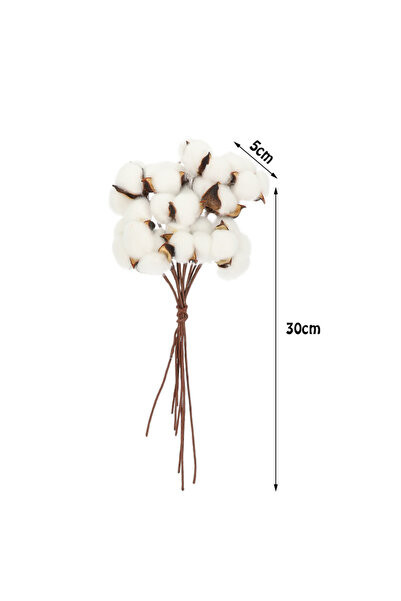EVİMDM 6’lı Dekoratif Doğal Pamuk Dalları – Yıl Boyu Solmayan Ev Dekoru