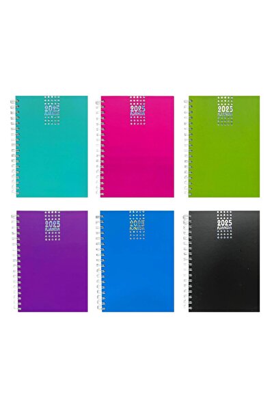 Banadabak AGENDA 2025 17x24 SPIRAL HARD COVER 10 CULORI
