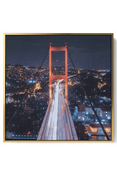 LOWHA لوحة فنية جدارية من القماش مشدودة على إطار خشبي بإطار ذهبي عائم وتصميم ...