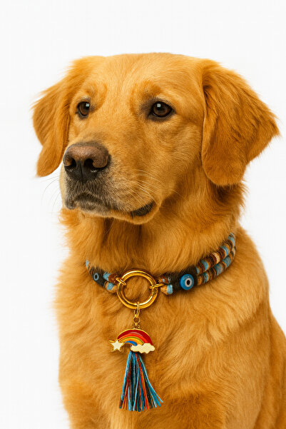 She Sells قلادة مصنوعة يدويًا متعددة الألوان للكلاب من نوع متوسط ​​الحجم مع خ...