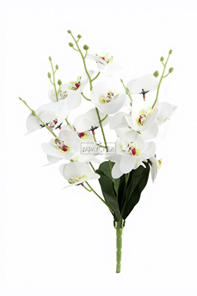 Yapay Çiçek Deposu Изкуствен букет от 5 стръка орхидеи с мокра текстура, 45 см, бял