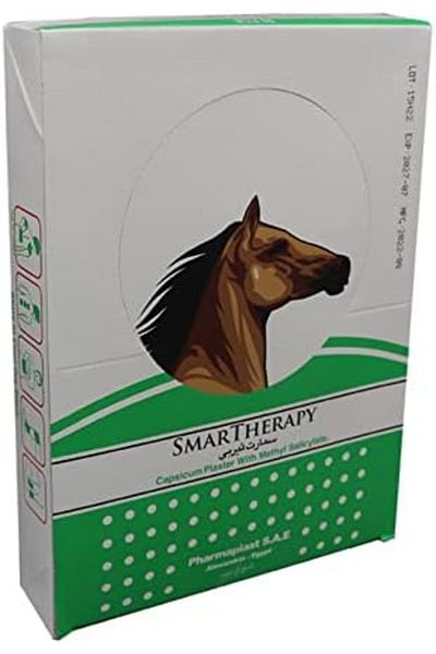SMART THERAPY Back Pain Patch with SMART THERAPY Capsicum Pain Reliever