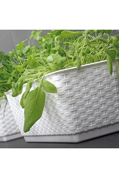 Prosperplast Jardinieră decorativă, Prosperplast, imitație de ratan, alb, 49,2 x 17,2 x 17,4 cm