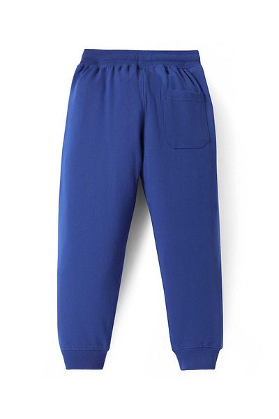 Pine kids Knit Full Length Lounge Pants with Text Print & Stripes - Navy Blue