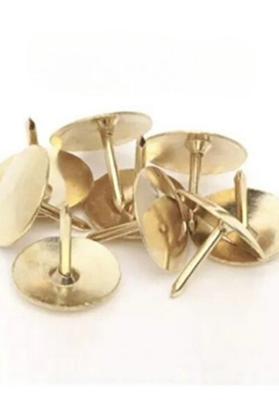 everart Raptiye Toplam 50 Adet Raptiye