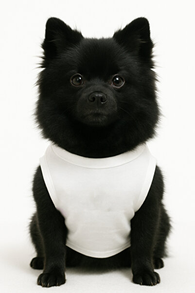 Buddy Store Kedi & Köpek Kıyafeti Giysileri Kıyafetleri - Security Baskılı Atlet Koleksiyonu