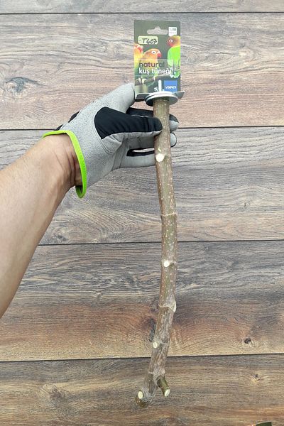 Vixpet Venty 37 cm Natural Parrot Leg |   Branch Trench |   Sultan, Monk, Lori, Konur, Senegal, Sevda - T407